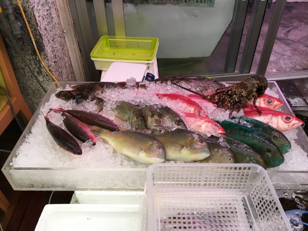 沖縄で魚集め１ フィッシュズカン